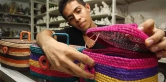 ¿TIENE UNA EMPRESA Y QUIERE CRECER? EL SENA TIENE LISTOS $20.000 MILLONES PARA APOYARLO