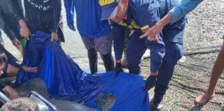 ARMADA DE COLOMBIA PARTICIPÓ EN RESCATE DE MANATÍ EN SANTA MARTA, MAGDALENA