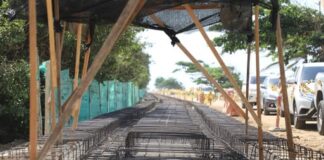 ESTE AÑO RODARÁ EL NUEVO TREN TURÍSTICO ENTRE LAS FLORES Y PUERTO MOCHO