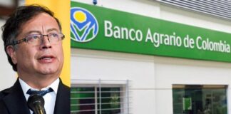 $3 BILLONES HA DESTINADO EL BANCO AGRARIO PARA BENEFICIAR A 200 MIL FAMILIAS Y PRODUCTORES DEL CAMPO, DURANTE EL GOBIERNO DE PETRO