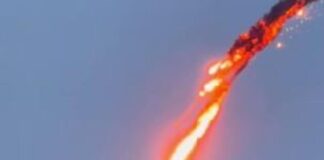 LA FUERZA AÉREA DE UCRANIA DERRIBÓ SU PROPIO DRON