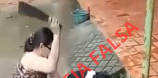EL VÍDEO QUE CIRCULA POR REDES SOCIALES DONDE UNA MUJER LE CORTA LA PATA A UN PERRO NO ES EN BARRANQUILLA