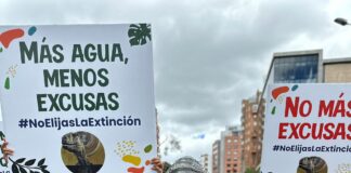 MINISTRA DE AMBIENTE Y DINOSAURIO FRANKIE ADVIERTEN QUE VAMOS A TENER EXTINCIONES MASIVAS SI NO ACTUAMOS