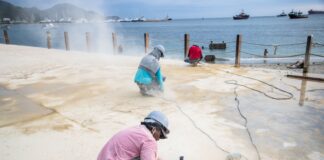 CON DOS FRENTES DE TRABAJO CONTINÚA MANTENIMIENTO PREVENTIVO EN EL CAMELLÓN DE LA BAHÍA