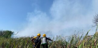 EL ALCALDE DE SITIONUEVO PIDE APOYO, PARA CONTROLAR EL INCENDIO EN EL CORREGIMIENTO DE PALERMO