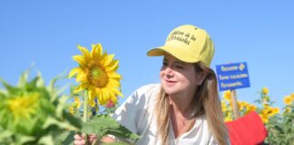 LA RUTA DEL GIRASOL VUELVE A BARANOA