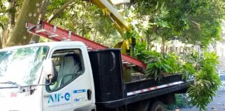 PODA TÉCNICA EN CIUDAD PARAÍSO Y SAN VICENTE EN SOLEDAD