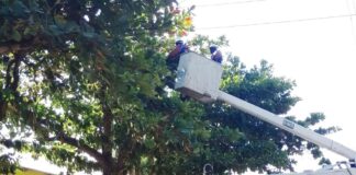 MANTENIMIENTO ELÉCTRICO EN SECTORES DEL MUNICIPIO DE MANATÍ