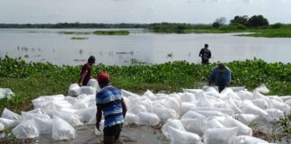 MÁS DE 700 MIL ESPECIES DE ALEVINOS FUERON TRANSPORTADOS POR LA ARMADA DE COLOMBIA