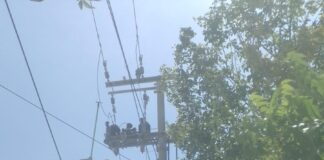 INSTALACIÓN DE REDES ELÉCTRICAS EN SECTOR DEL BARRIO LA MAGDALENA
