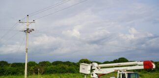 7 FINCAS PRODUCÍAN BANANO CON LUZ ROBADA EN EL MAGDALENA