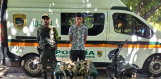 CAPTURADO POR LA COMERCIALIZACIÓN DE IGUANAS EN VALLEDUPAR