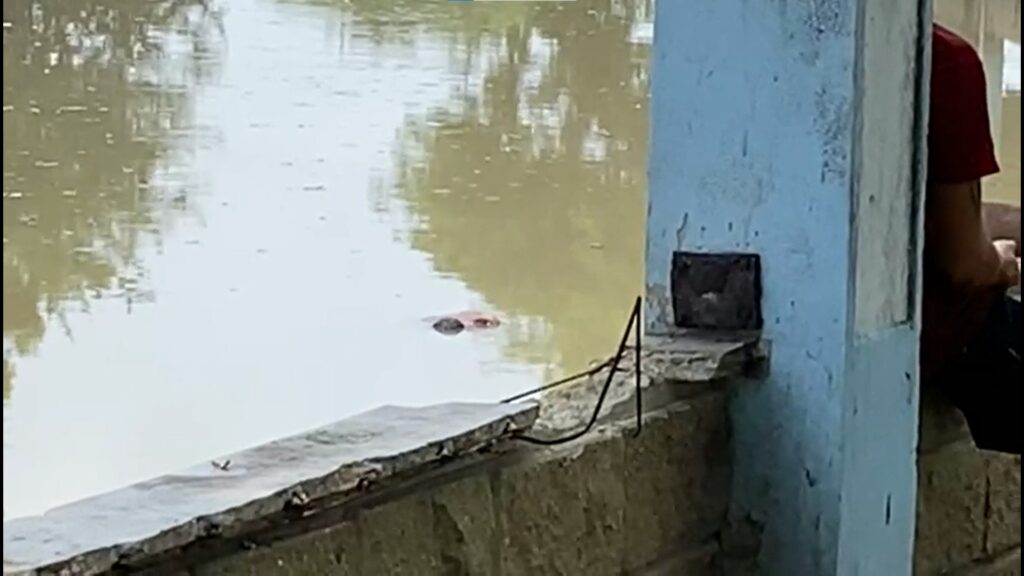 ¡Macabro hallazgo! Un cuerpo apareció flotando en el caño de la auyama, en pleno centro de Barranquilla