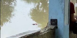 ¡MACABRO HALLAZGO! UN CUERPO APARECIÓ FLOTANDO EN EL CAÑO DE LA AUYAMA, EN PLENO CENTRO DE BARRANQUILLA