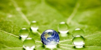 CUIDADO Y PRESERVACIÓN DEL AGUA, CLAVES PARA EL FUTURO SOSTENIBLE
