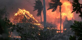 IMPRESIONANTES IMÁGENES DE LA DEVASTACIÓN EN HAWÁI, A CAUSA DE LOS INCENDIOS REGISTRADOS EN EL ARCHIPIÉLAGO