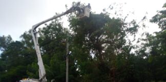 NORMALIZAN SERVICIO DE ENERGÍA EN MUNICIPIOS AFECTADOS POR VENDAVAL