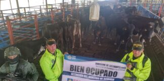 OCUPACIÓN DE 31 BIENES AVALUADOS EN 20.855.000.000 MILLONES DE PESOS A NARCOS EXTRADITABLES EN EL AÑO 2021.