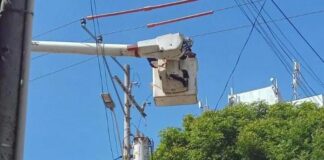 TRABAJOS PARA LA NORMALIZACIÓN DEL SERVICIO ELÉCTRICO EN LOS OLIVOS