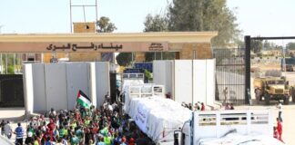 CAMIONES CON AYUDA HUMANITARIA INGRESARON A GAZA POR EGIPTO