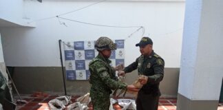 RECUPERADAS 105 BABILLAS QUE SERÍAN COMERCIALIZADAS EN CESAR