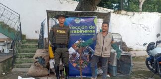 MUJER ENTREGÓ UNA BOA QUE TENÍAN COMO MASCOTA EN SU CASA EN MAGANGUÉ