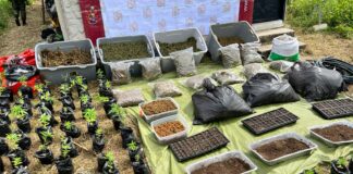 TROPAS DE LA SEGUNDA BRIGADA INCAUTARON MÁS DE 200 KILOGRAMOS DE MARIHUANA EN EL DEPARTAMENTO MAGDALENA