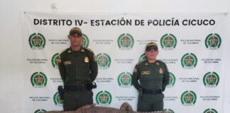 ¡RESUELTO EL MISTERIO! LA COMUNIDAD DE CICUCO ENTREGÓ A LA POLICÍA UNA BABILLA QUE SE ESTABA COMIENDO SUS GALLINAS Y ANIMALES DOMÉSTICOS