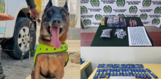 EN ARJONA, OKER DELATÓ A VENDEDOR AMBULANTE DE FRUTAS QUE TENÍA ENCALETADA UNA CAJA CON 5 KILOS DE PÓLVORA