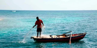$21 MIL MILLONES PARA FORTALECER LA PESCA ARTESANAL SOSTENIBLE EN PROVIDENCIA