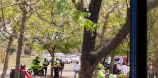 UN CUERPO DESMEMBRADO FUE HALLADO EN EL SECTOR DEL PUENTE DE LA CORDIALIDAD