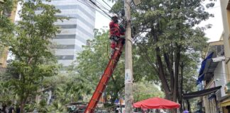 DESDE EL PASEO BOLÍVAR, DISTRITO AVANZA EN LA REGULACIÓN DEL CABLEADO AÉREO DE LA CIUDAD