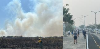 POR INCENDIOS EN PARQUE ISLA SALAMANCA, DEL MAGDALENA, DISTRITO EMITE RECOMENDACIONES