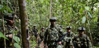 ENFRENTAMIENTOS ENTRE EL EJÉRCITO NACIONAL Y EL EMC EN CAUCA DEJAN TRES SOLDADOS MUERTOS