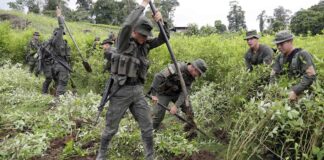 SEIS POLICÍAS RESULTARON HERIDOS MIENTRAS ERRADICABAN CULTIVOS ILÍCITOS