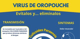 SECRETARÍA DE SALUD EMITE MENSAJES PARA LA PREVENCIÓN DEL VIRUS OROPOUCHE