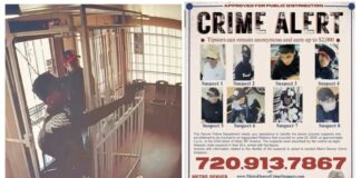 OCHO DELINCUENTES SUPUESTAMENTE VENEZOLANOS ASALTARON UNA JOYERÍA EN DENVER, COLORADO, EE.UU.