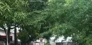 JOVENES ARRIESGAN SU VIDA JUGANDO EN ARROYOS DEL MUNICIPIO DE SOLEDAD.