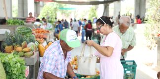 GRAN BAZAR: EL MERCADO QUE ESTÁ TRANSFORMANDO VIDAS Y LA EXPERIENCIA DE COMPRAR EN EL CENTRO
