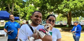 ALCALDÍA DE BARRANQUILLA INICIÓ PROCESO DE CARACTERIZACIÓN ENFOCADO EN EL BIENESTAR ANIMAL