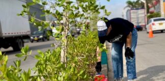 CON LIMPIEZA Y ARBORIZACIÓN, AVANZA ESTRATEGIA INTEGRAL DE RECUPERACIÓN DE LA CORDIALIDAD