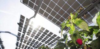 BAYWA R.E. ABRE SU SEGUNDA SEDE EN COLOMBIA PARA IMPULSAR EL MERCADO DE ENERGÍA RENOVABLE EN EL PAÍS