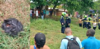 ¡ATERRADOR! FUE HALLADA UNA CABEZA HUMANA EN EL BARRIO CARLOS MEISEL