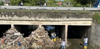 DISTRITO REALIZA LA LIMPIEZA DE CAÑOS Y ARROYOS PARA EVITAR INUNDACIONES POR DESBORDAMIENTO