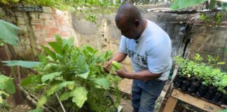 DISTRITO FORTALECE LA SEGURIDAD ALIMENTARIA CON LA INICIATIVA ‘MI BARRIO SIEMBRA’