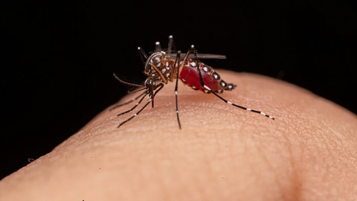 240903-Medidas-prevencion-control-dengue-1280