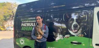 BIENESTAR ANIMAL: DISTRITO INICIA JORNADAS DE ESTERILIZACIÓN CON NUEVA MODALIDAD