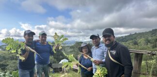 COMUNIDADES DEL SUROCCIDENTE DE BARRANQUILLA APRENDEN DE AGRICULTURA URBANA EN COLOMBIA Y ROMA