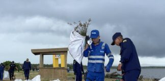 DISTRITO RECOLECTÓ 11 TONELADAS DE RESIDUOS Y MADERA EN PUERTO MOCHO