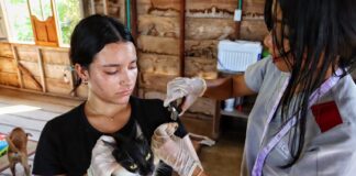 GOBERNACIÓN CARACTERIZÓ A 600 ANIMALISTAS EN TODOS LOS MUNICIPIOS DEL DEPARTAMENTO